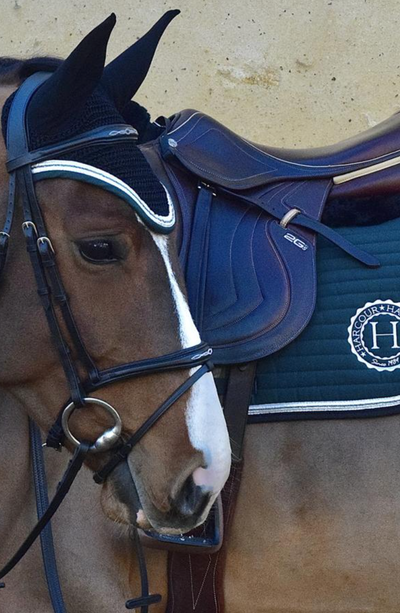 Indiana Saddle Pad & Fly Veil Set - Two Hearts Equine Boutique