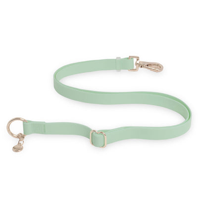 Pistachio Green Cloud Leash 4-Way Extension 3/4" - Two Hearts Equine Boutique