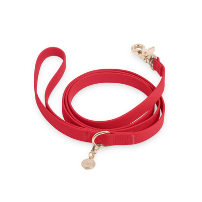 Cherry Red Waterproof Cloud Dog Leash: 6 FT - Two Hearts Equine Boutique