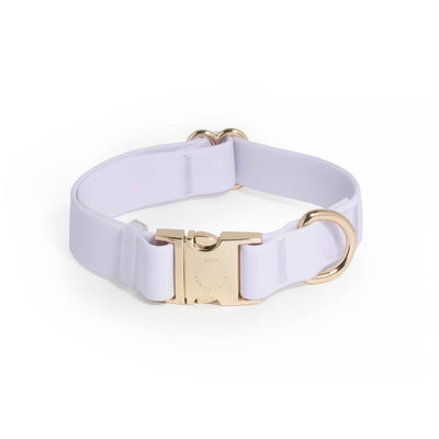 Lavender Haze Waterproof Dog Collar: SMALL - Two Hearts Equine Boutique