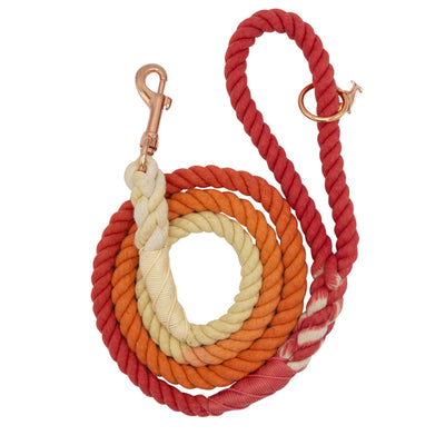 Dog Rope Leash - Sunrise - Two Hearts Equine Boutique
