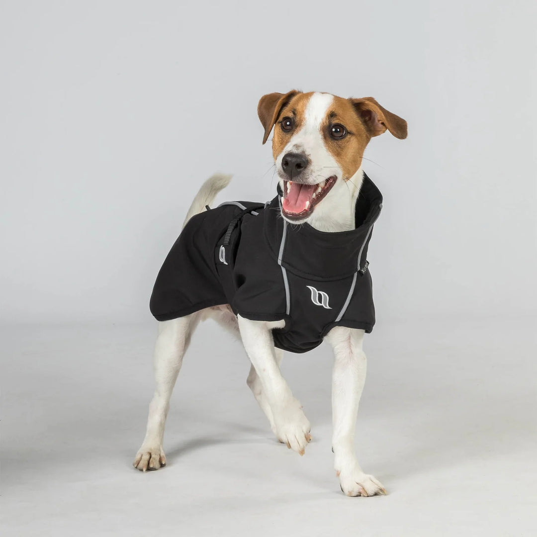 Back on Track Dog Coats Two Hearts Equine Boutique