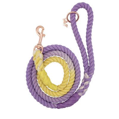 Dog Rope Leash - Dukes - Two Hearts Equine Boutique