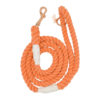 Dog Rope Leash - Clementine - Two Hearts Equine Boutique