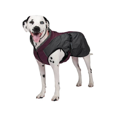 Shedrow K9 Chinook Dog Coat - Winetasting - Two Hearts Equine Boutique