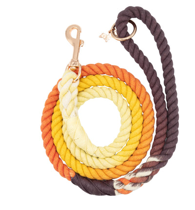 Dog Rope Leash - Vintage - Two Hearts Equine Boutique