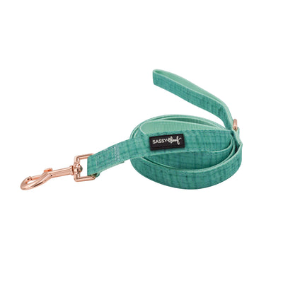 'Wag Your Teal' Dog Fabric Leash - Two Hearts Equine Boutique